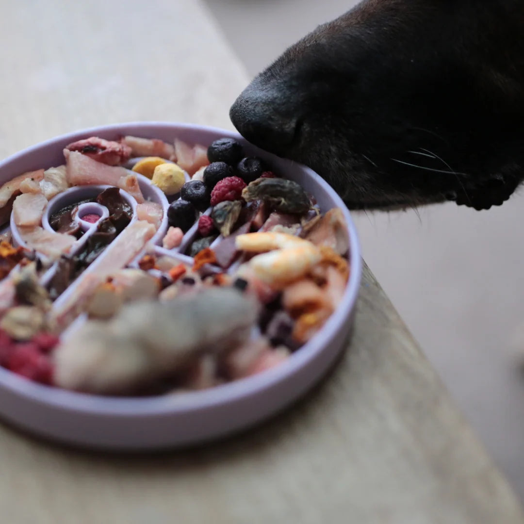 Zoomies Slow Feeder Bowl | Fig