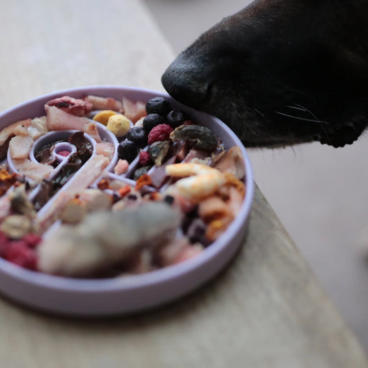 Zoomies Slow Feeder Bowl | Fig
