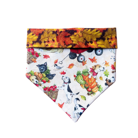 Pawtumn Bandana