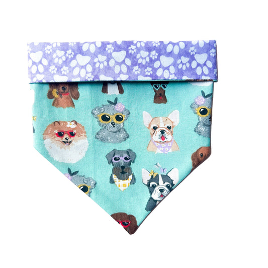 Pawliwood Bandana