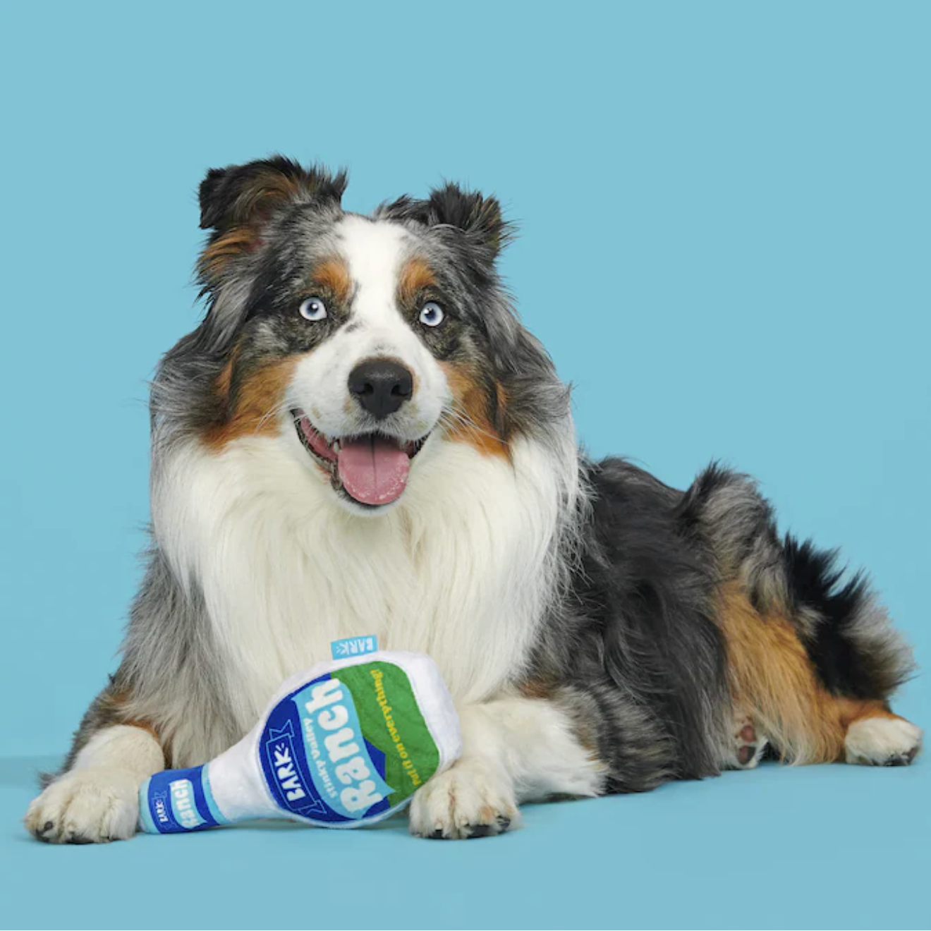 Stinky Valley Ranch Dog Toy