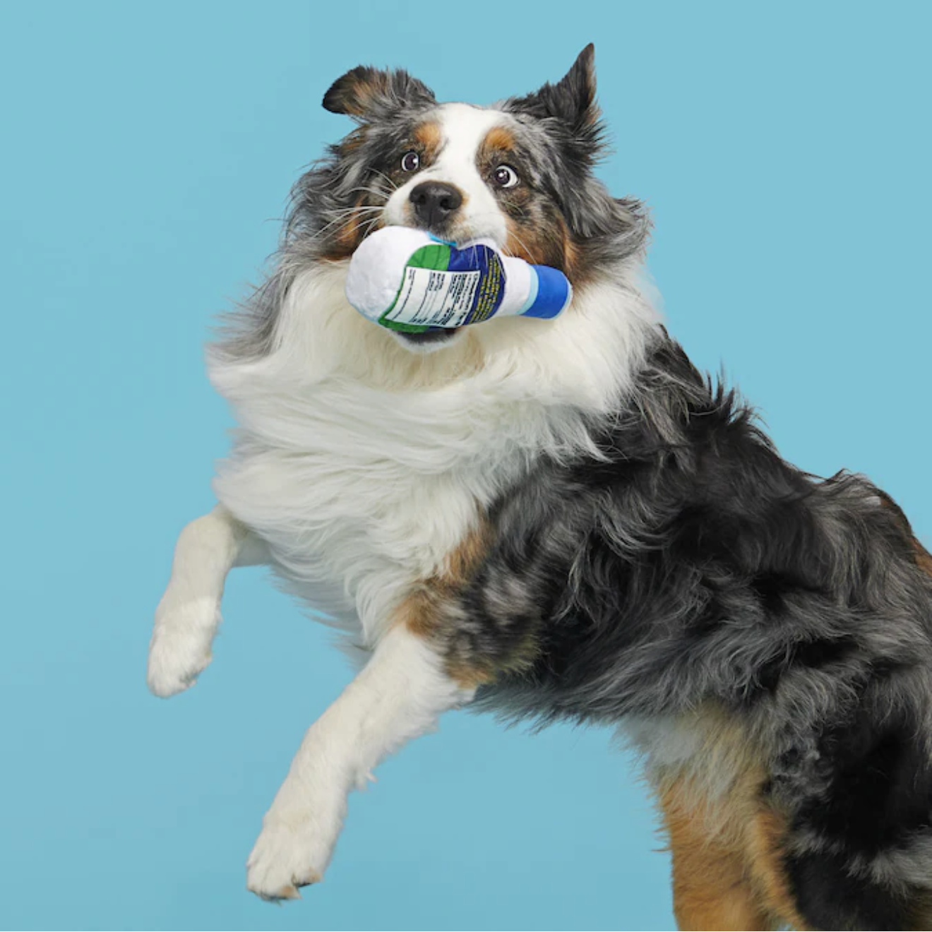 Stinky Valley Ranch Dog Toy