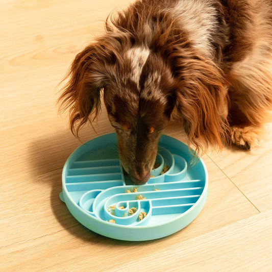 Zoomies Slow Feeder Bowl | Algae
