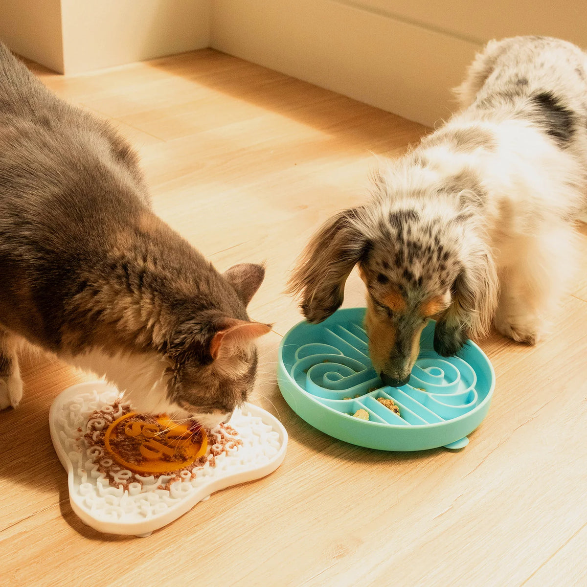 Zoomies Slow Feeder Bowl | Algae