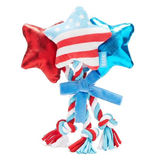 Star Spangled Squeaks Dog Toy