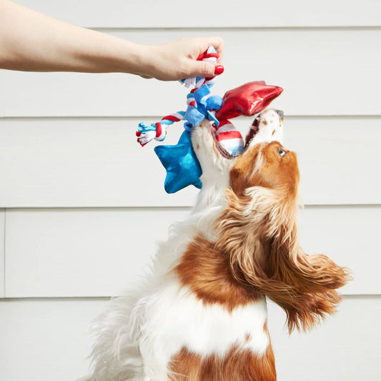 Star Spangled Squeaks Dog Toy