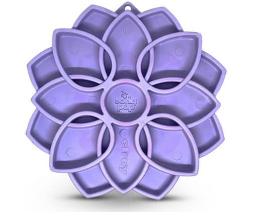 Sodapup Mandala eTray