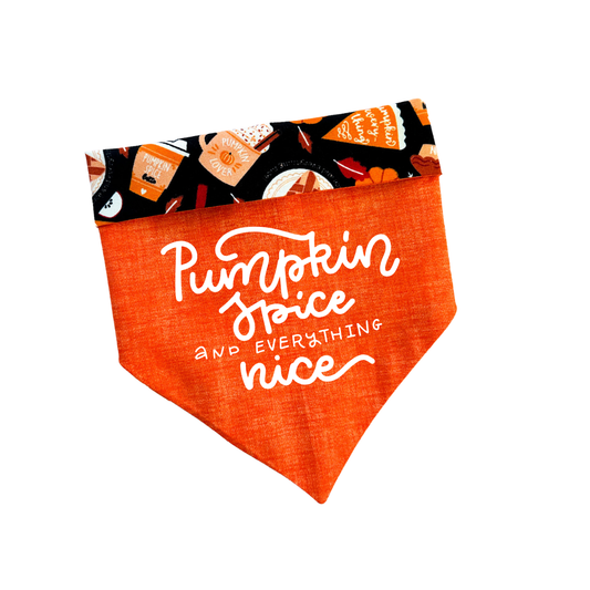Pumpkin Spice & Everything Nice Bandana