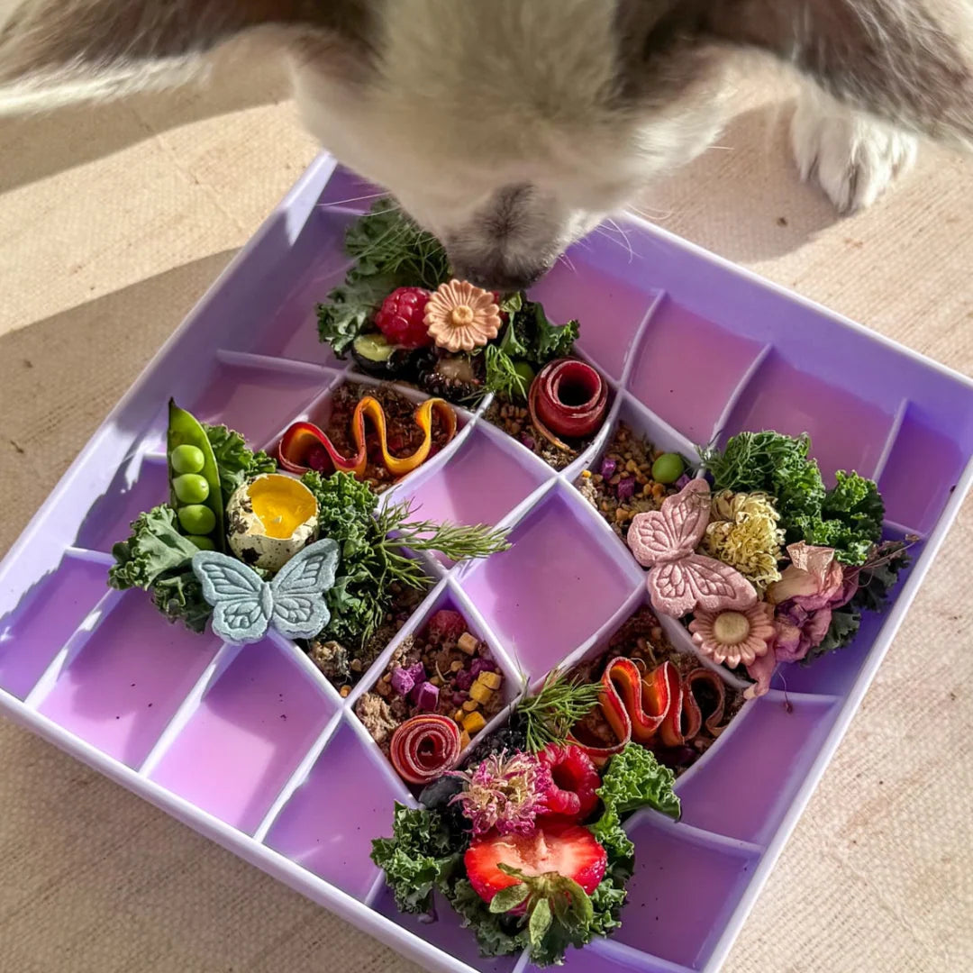 Wavies Slow Feeder Bowl | Voila