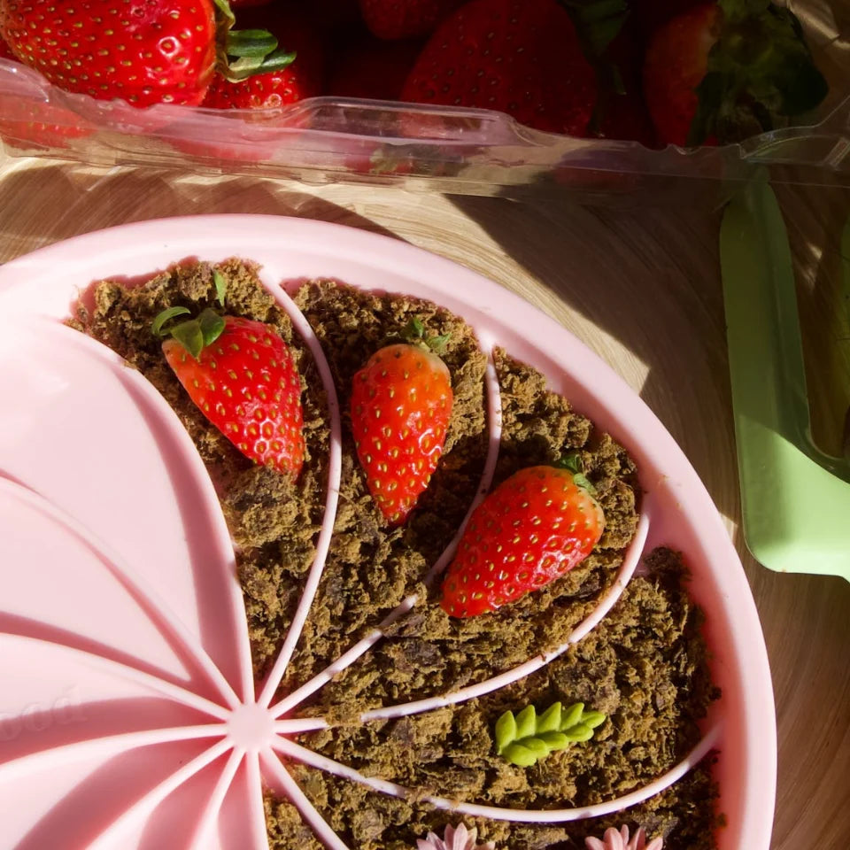 Wheelies Lick Mat & Lid | Strawberry