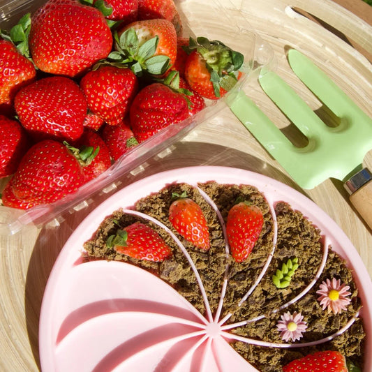 Wheelies Lick Mat & Lid | Strawberry