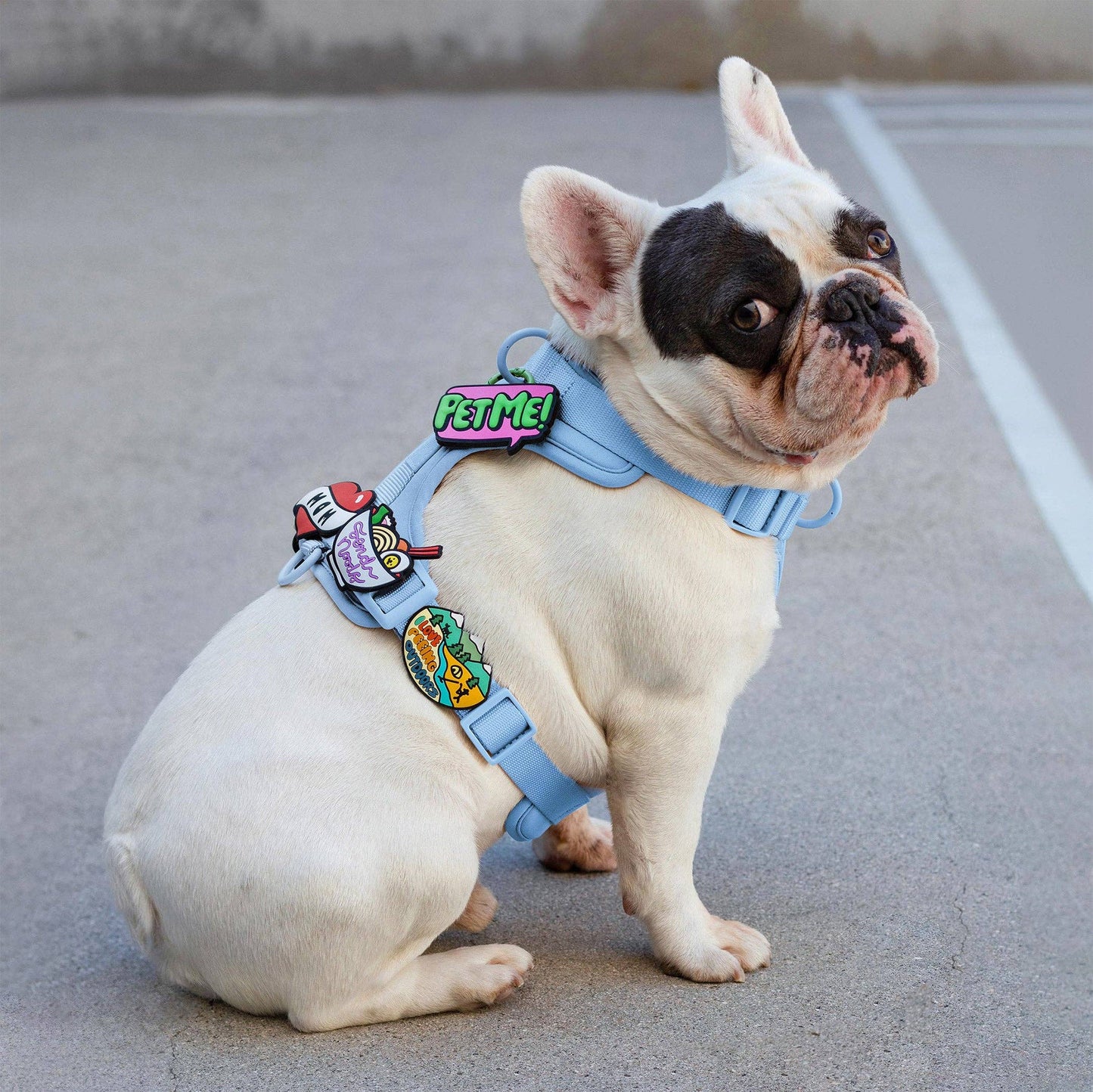 Peeing Outdoors Jiby Dog Charm