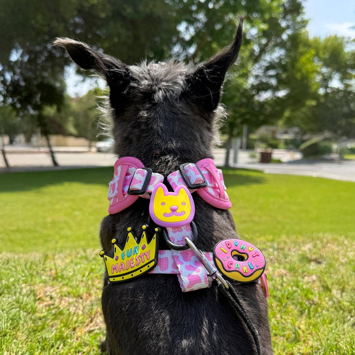 I Donut Care Jiby Dog Charm