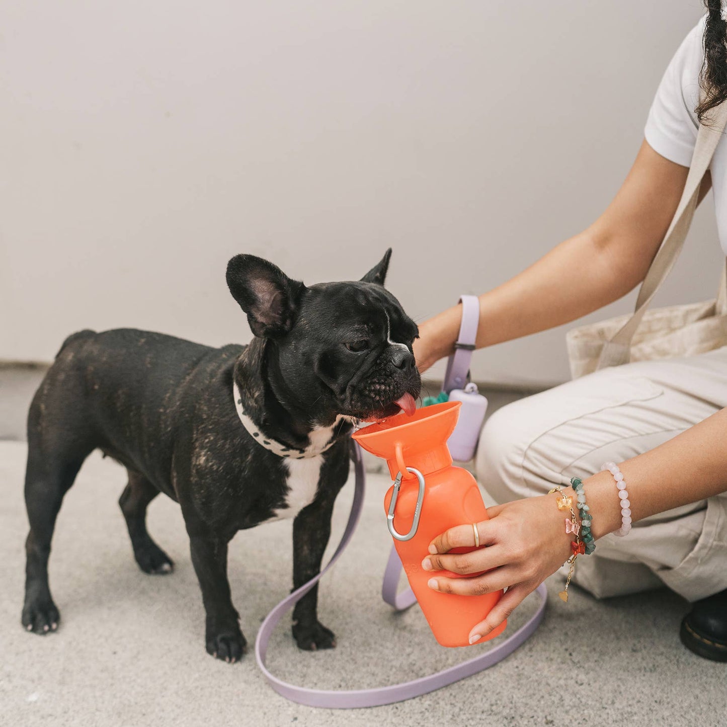Green Dog Travel Water Bottle