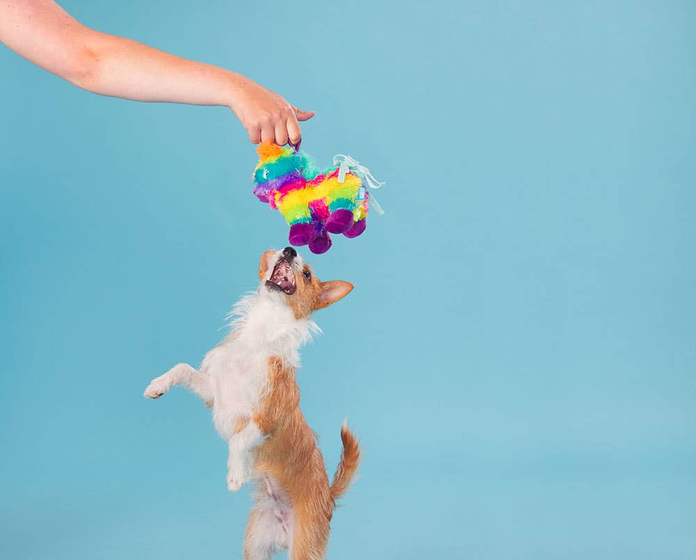 Full O' Fluff Piñata