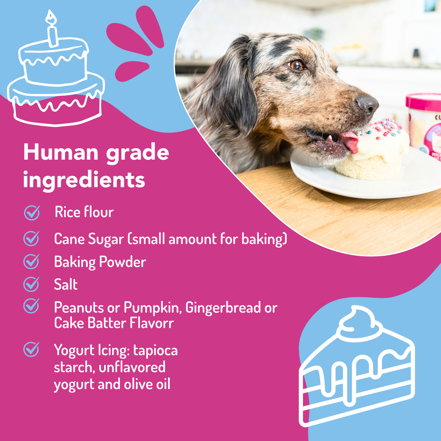 Dog Birthday Cake in A Cup - Pumpkin