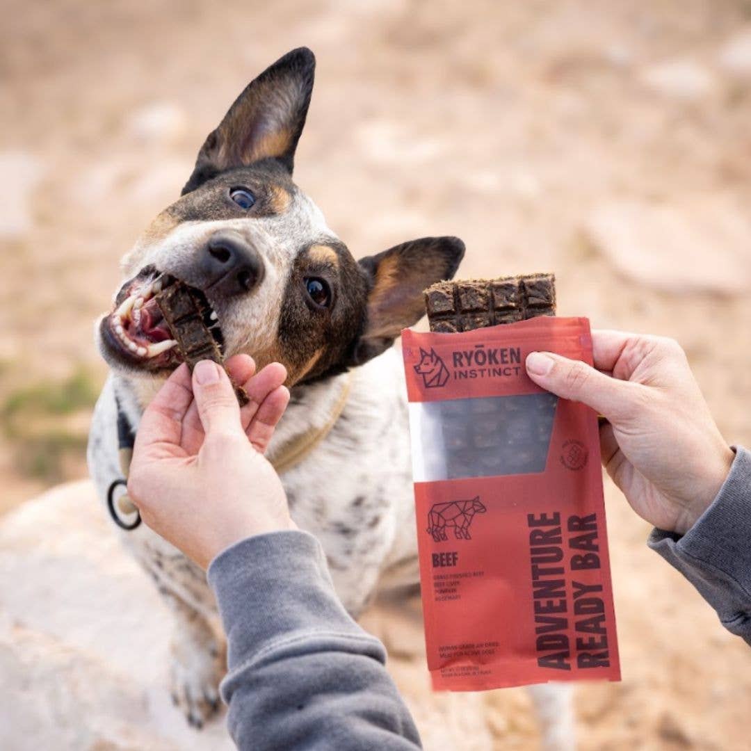 Beef Treat & Snack Bar