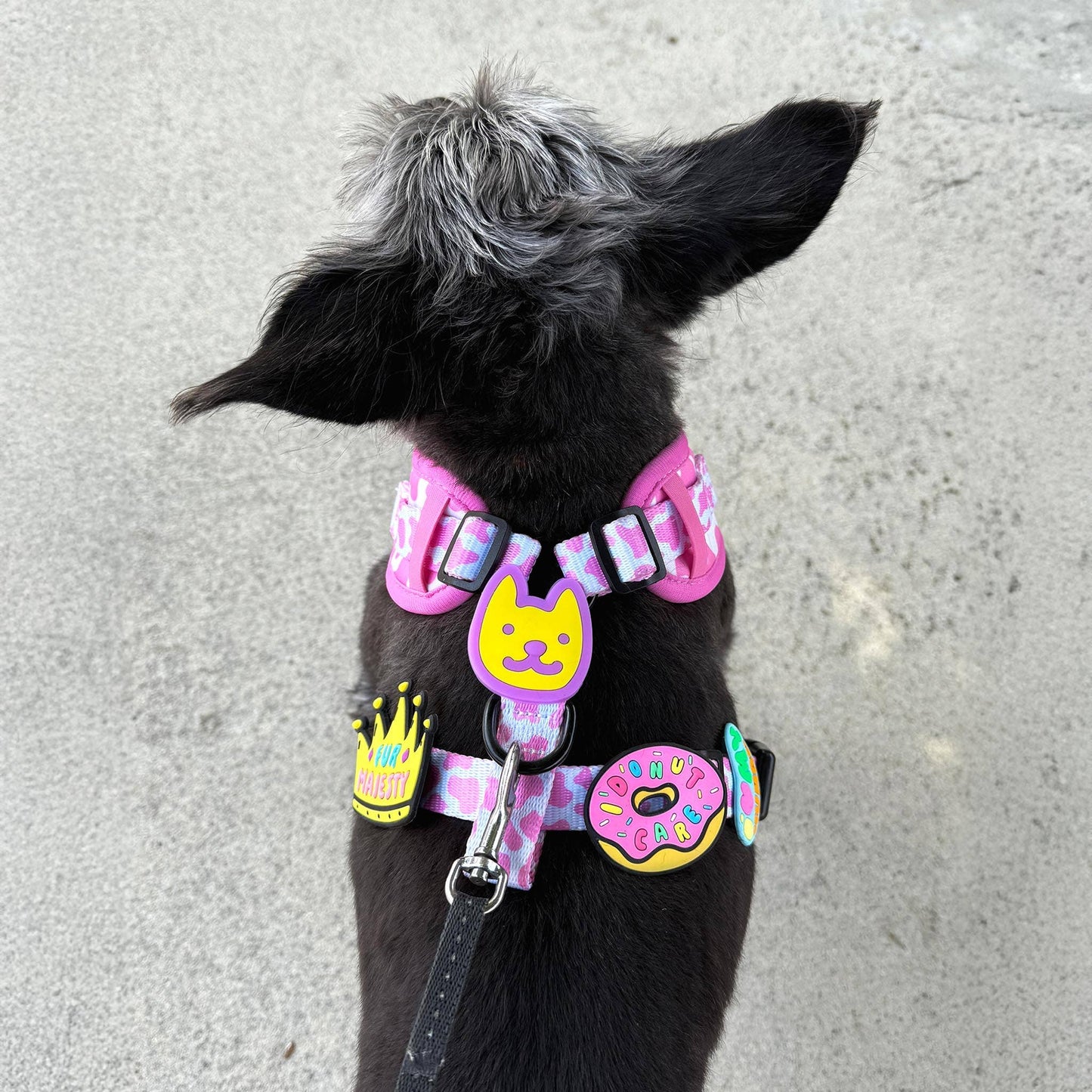 I Donut Care Jiby Dog Charm
