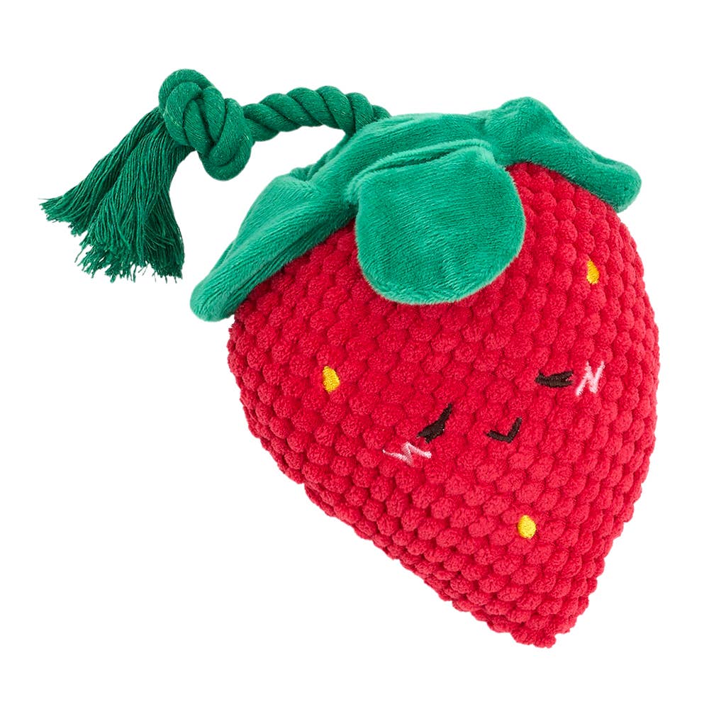 Strawberry Dog Toy