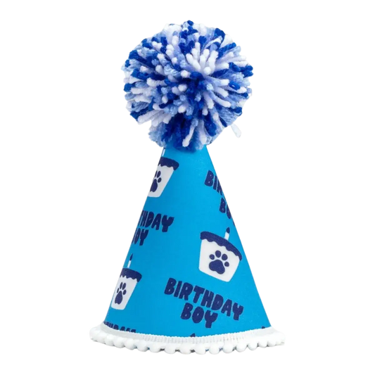 Barkday Boy Hat