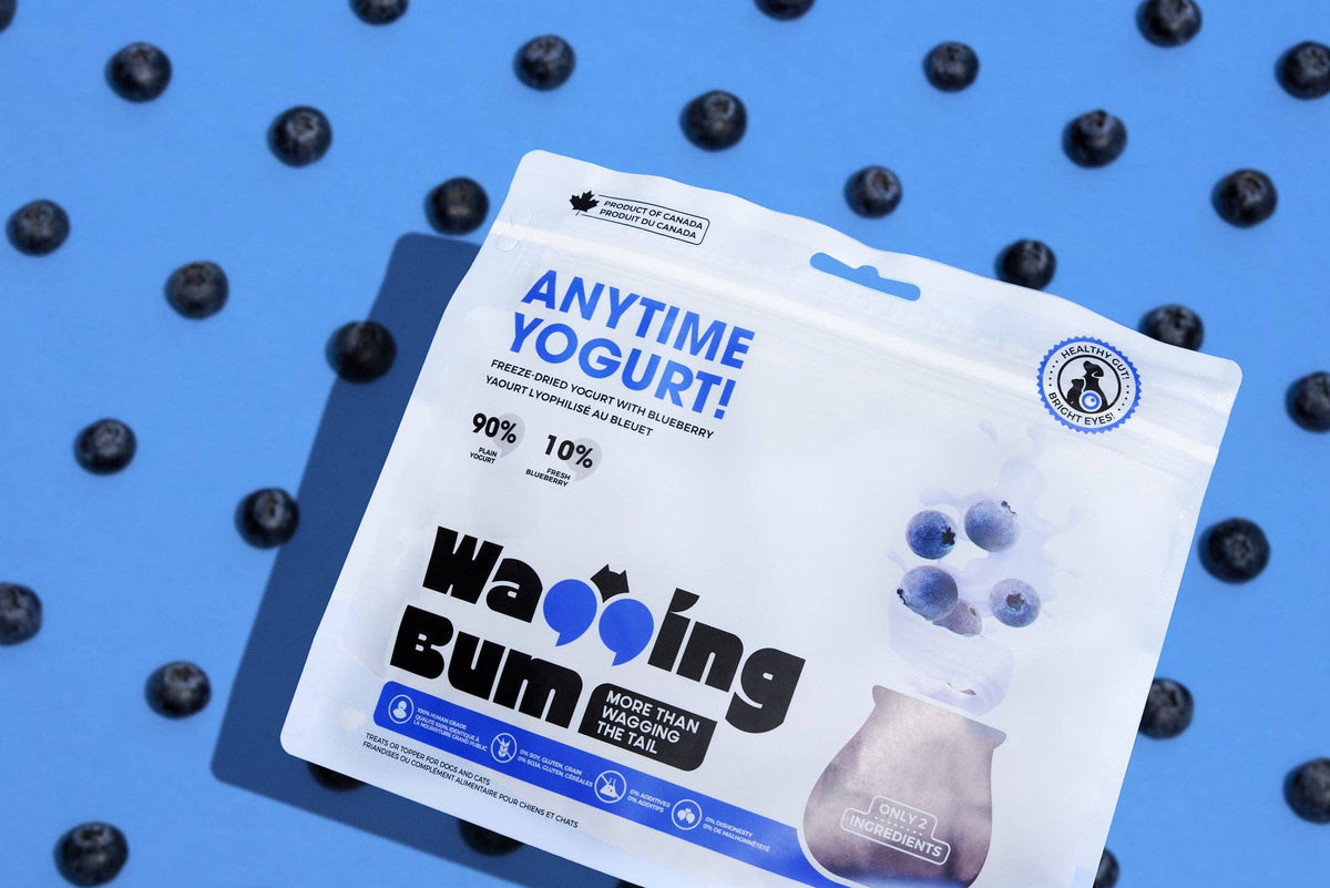Freeze-dried Greek Yogurt with Blueberry