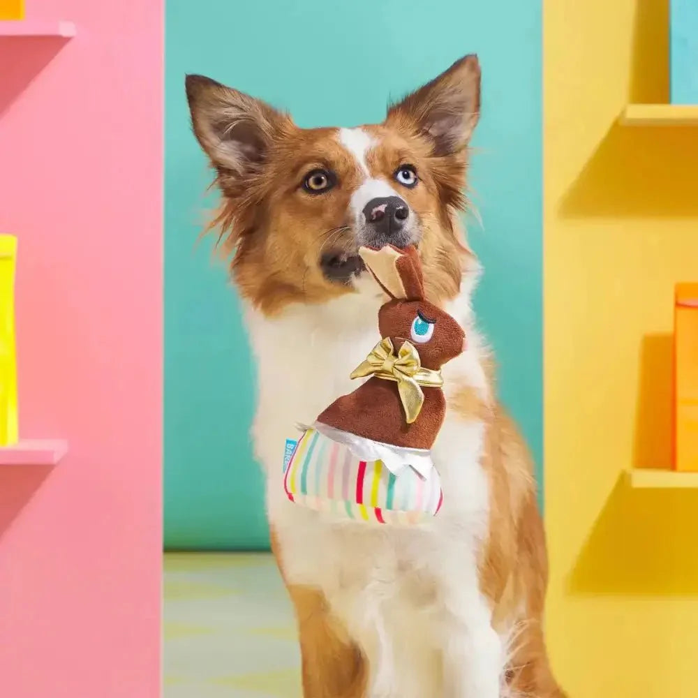 Lil' Bunny Chew Chew Dog Toy