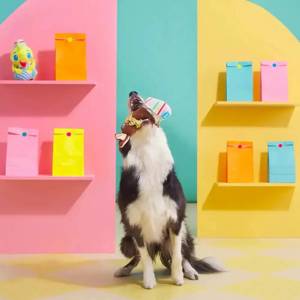 Lil' Bunny Chew Chew Dog Toy