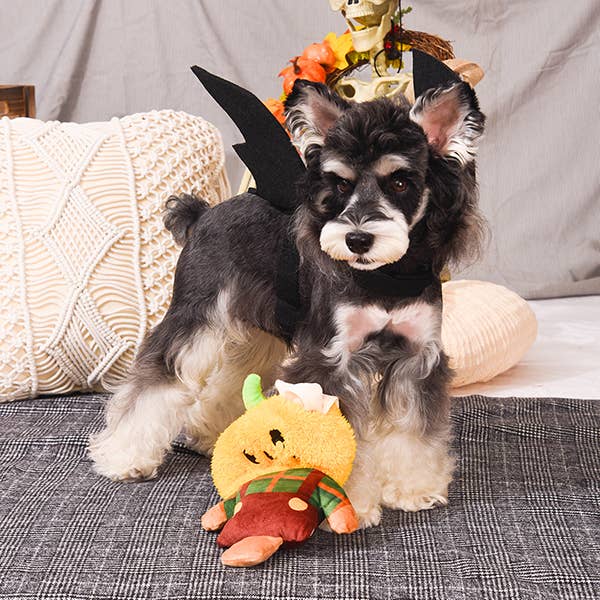 Scarecrow Dog Plush Toy