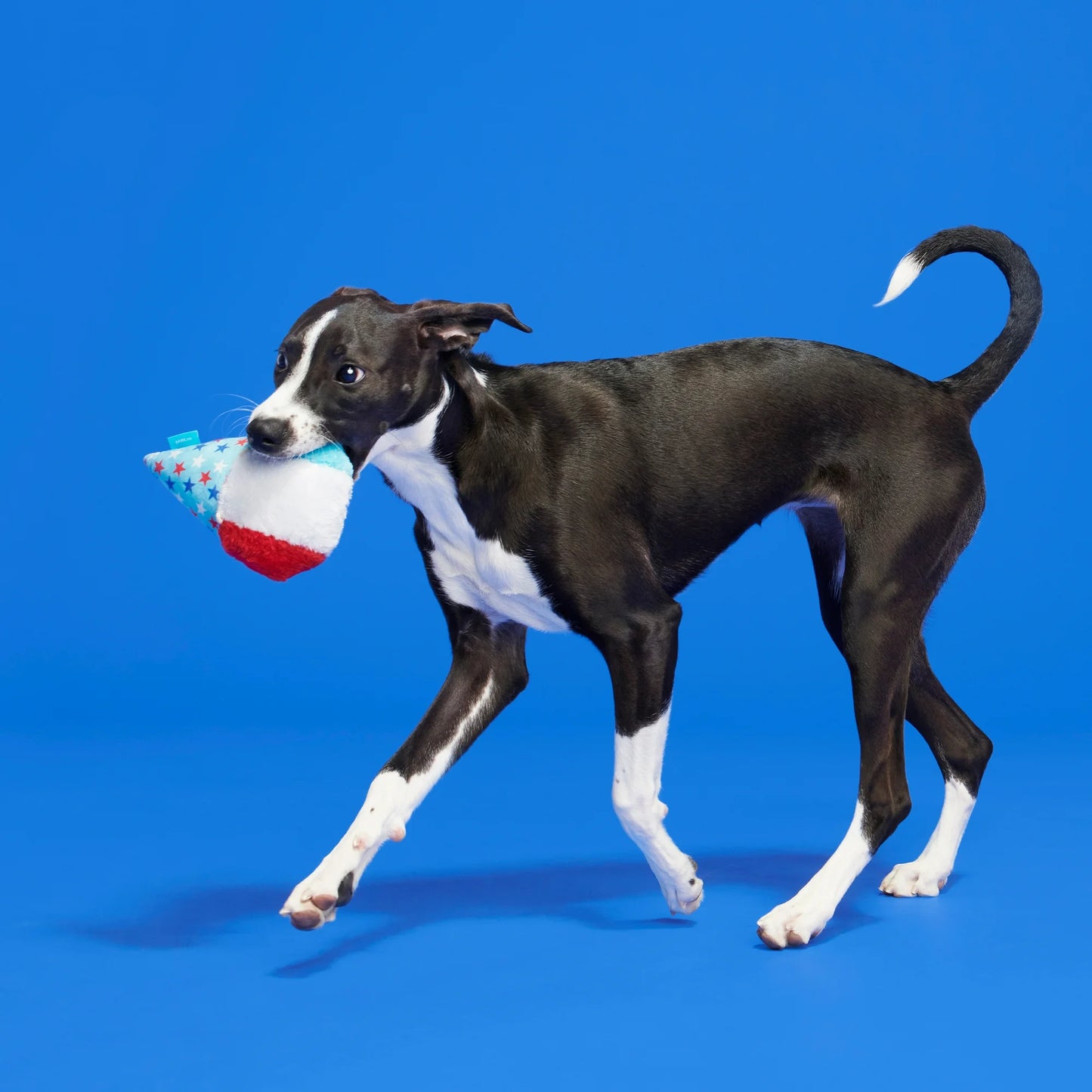 Liberty Cone Dog Toy