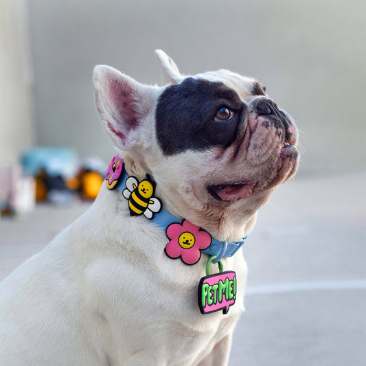 Pink Daisy Jiby Dog Charm
