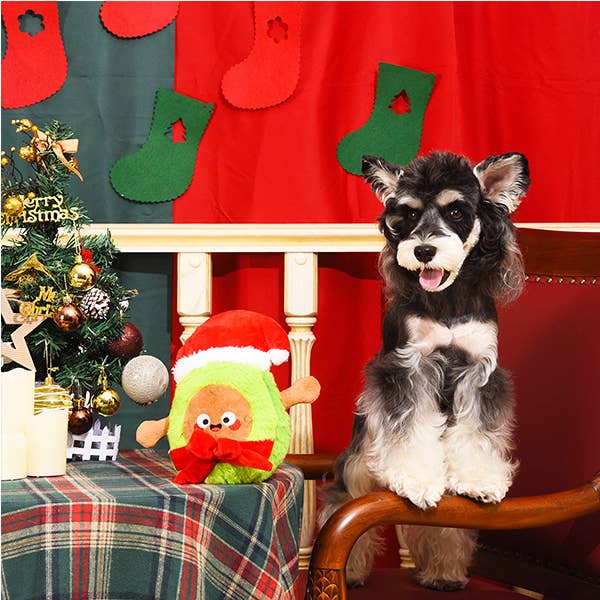 Santa Avocado Dog Toy