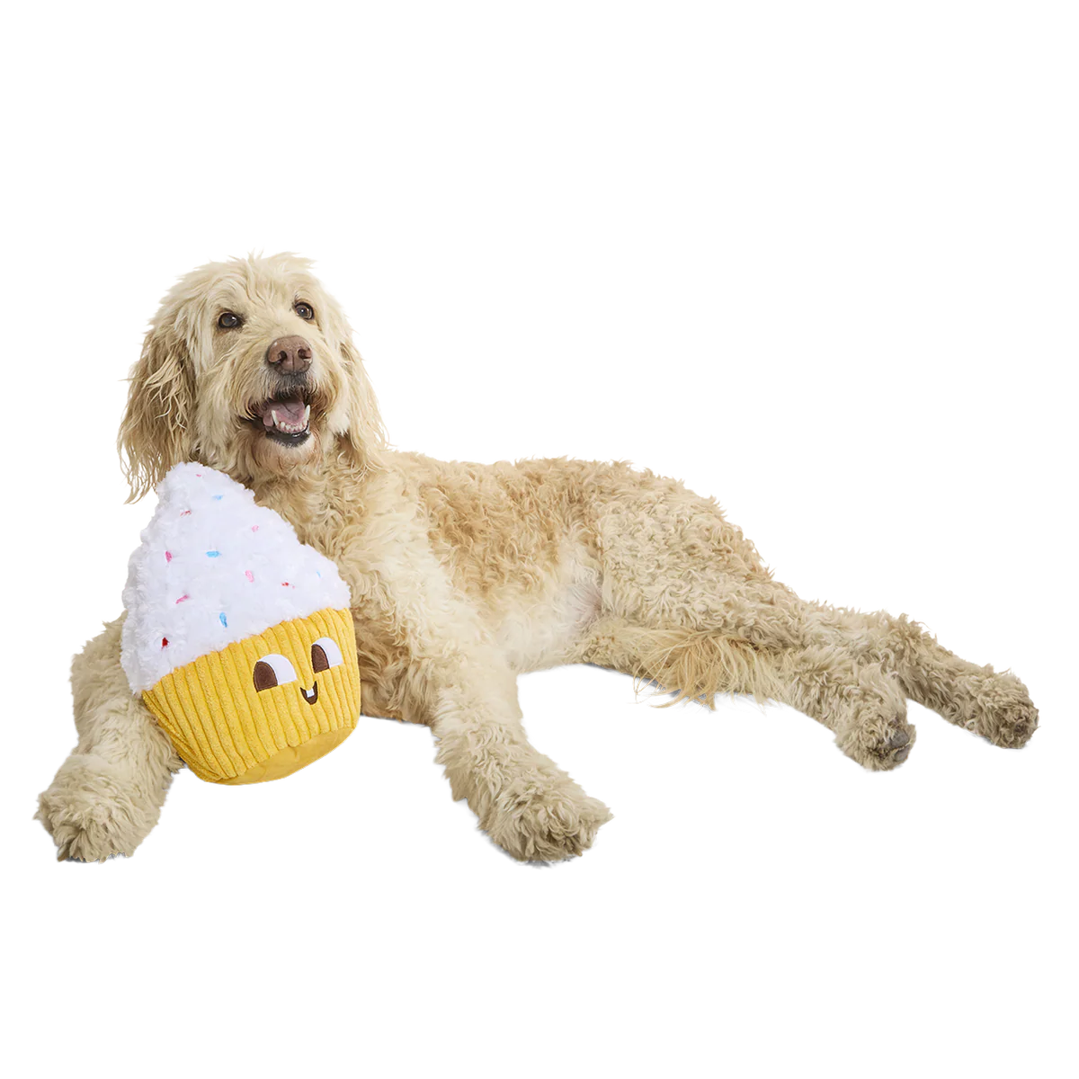 Colossal Cup Kate Dog Toy