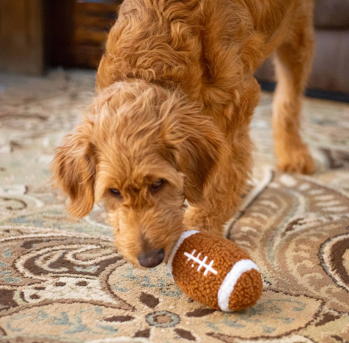 Football Plush Dog Toy