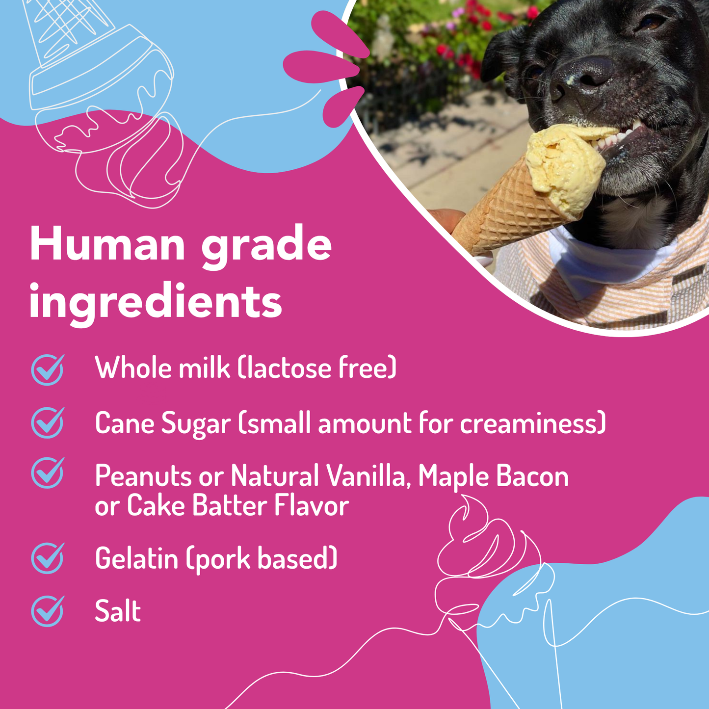 Maple Bacon Dog Ice Cream