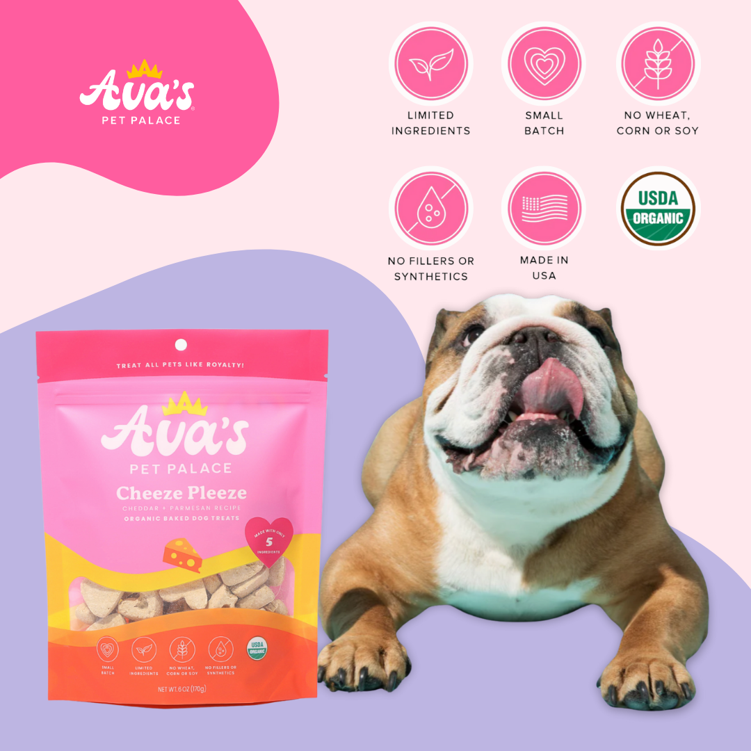 Cheeze Pleeze Dog Treats