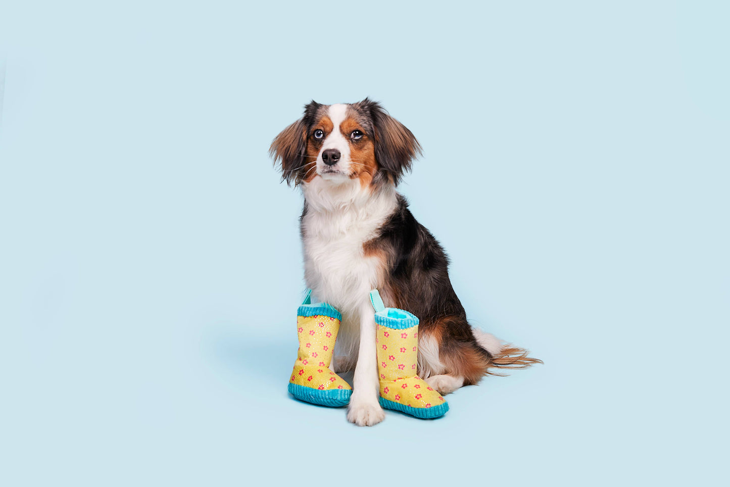 Smelly Wellies Dog Toy