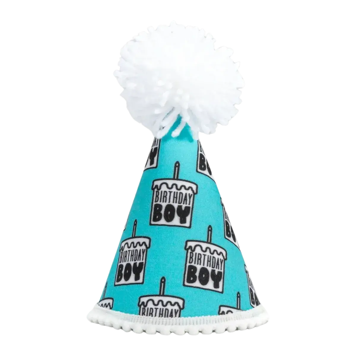 Birthday Boy Party Hat