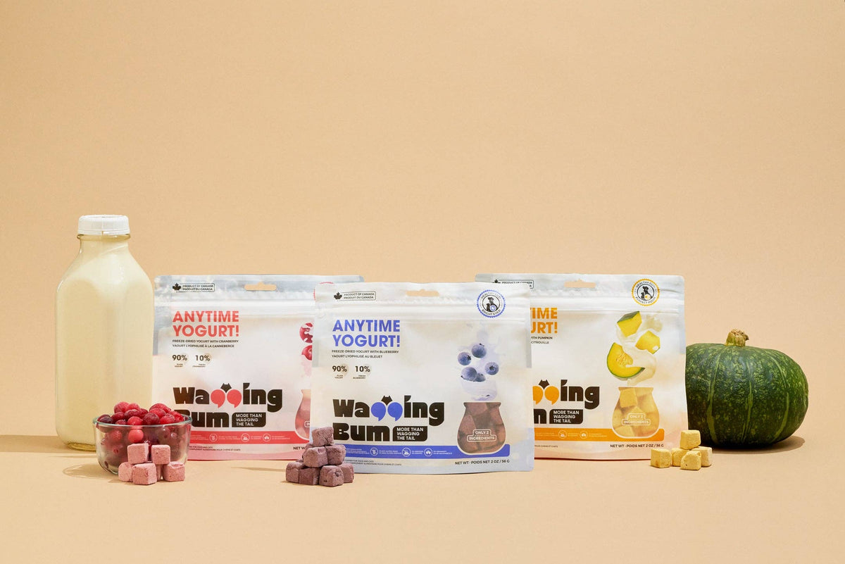 Freeze-dried Greek Yogurt with Blueberry