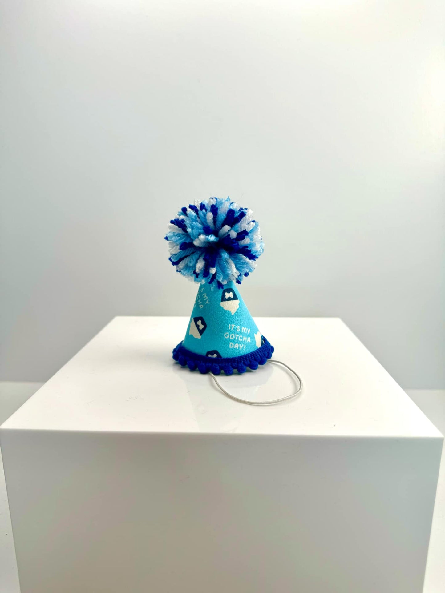 Gotcha Day Blue Party Hat