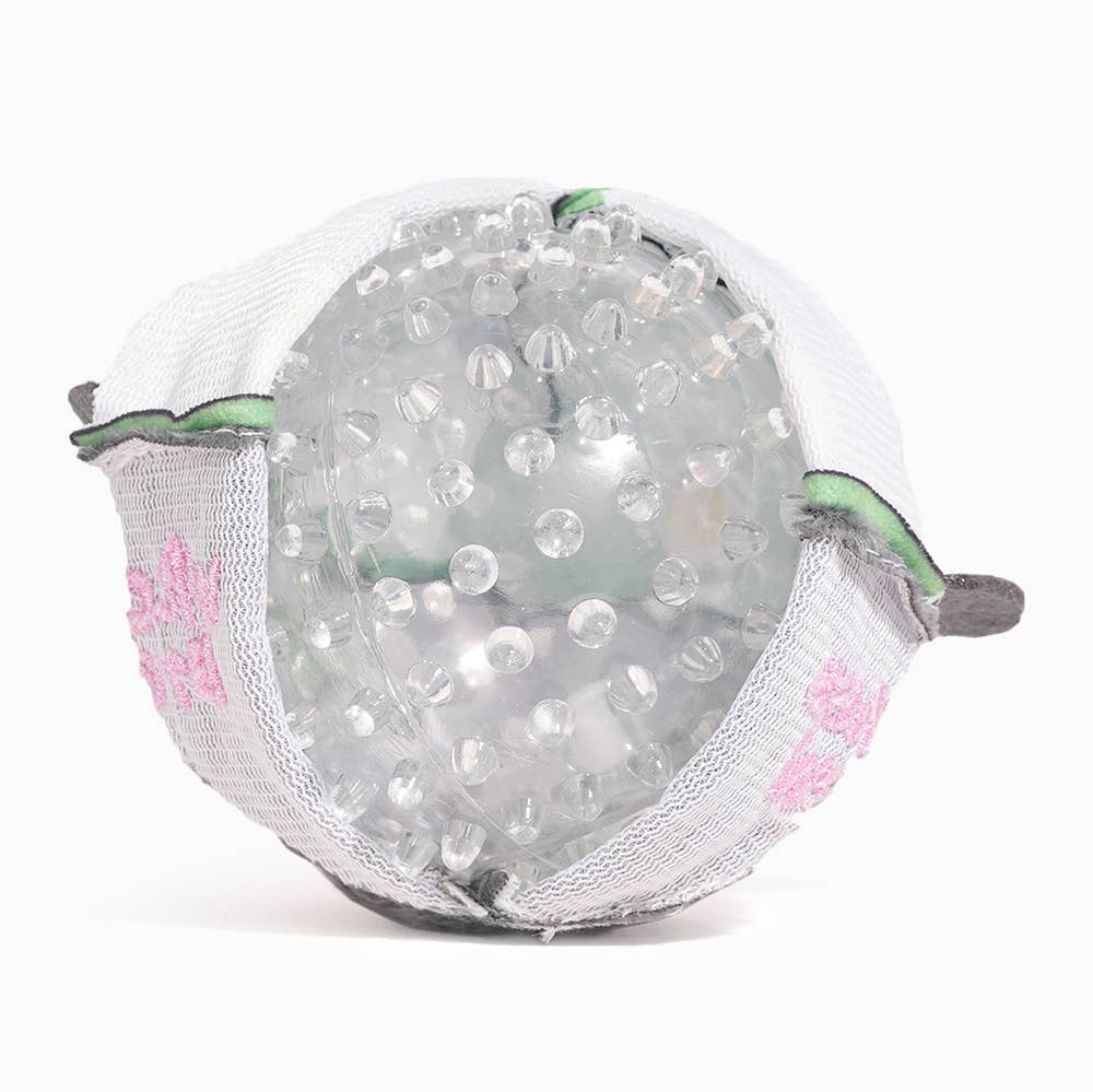 Witches Brew Dog Ball Toy