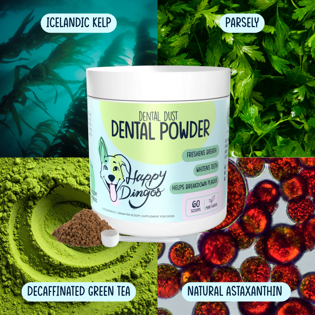 Dental Dust Dental Powder
