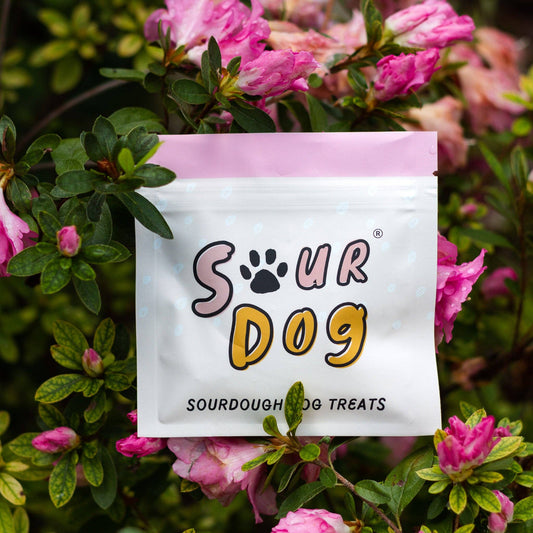 Sourdough Dog Treat Sampler Pouch