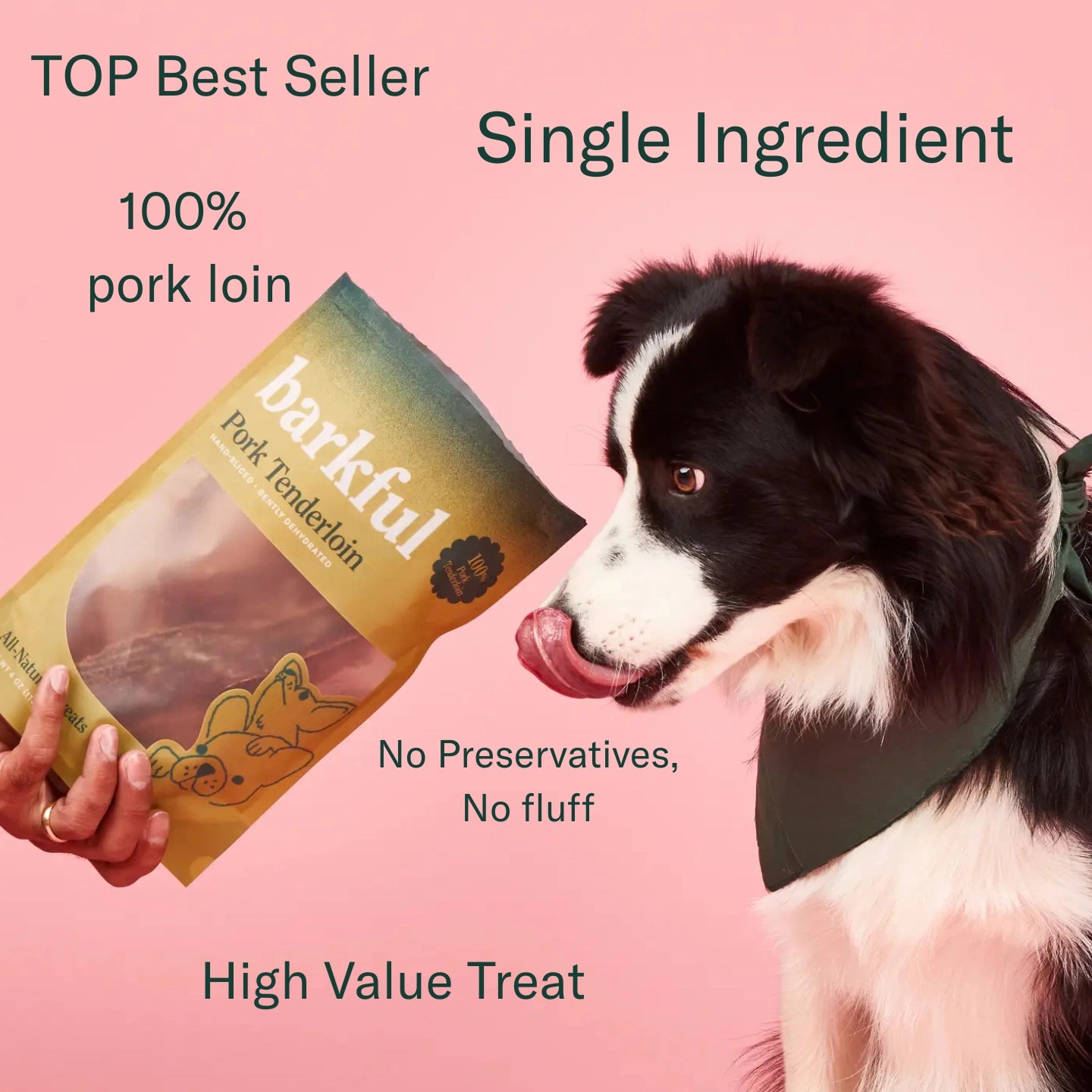 Pork Tenderloin Dog Treats