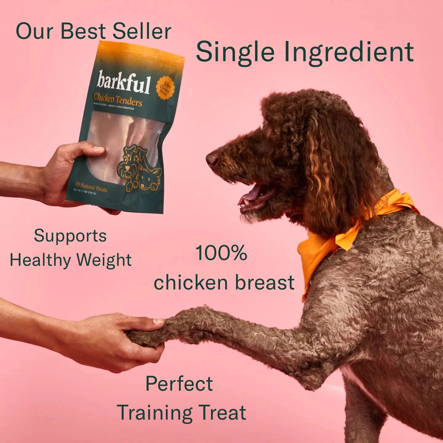 Chicken Tender Dog Treats