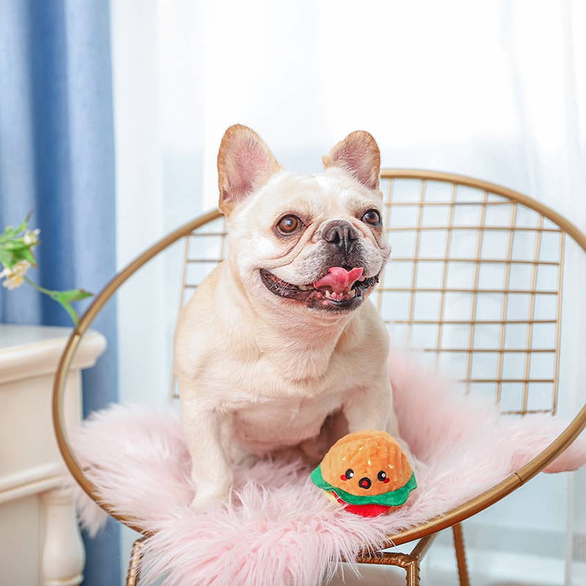 Hamburger Dog Toy