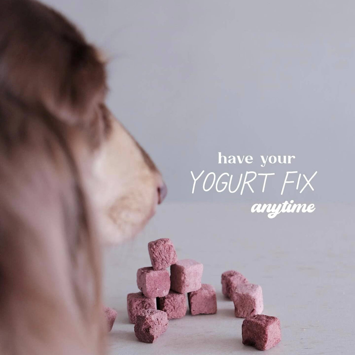 Freeze-dried Greek Yogurt with Cranberry