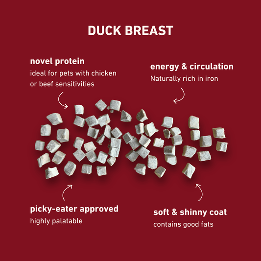 Freeze-Dried Duck Breast Treats