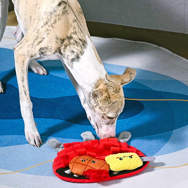 BBQ Grill Dog Snuffle Toy