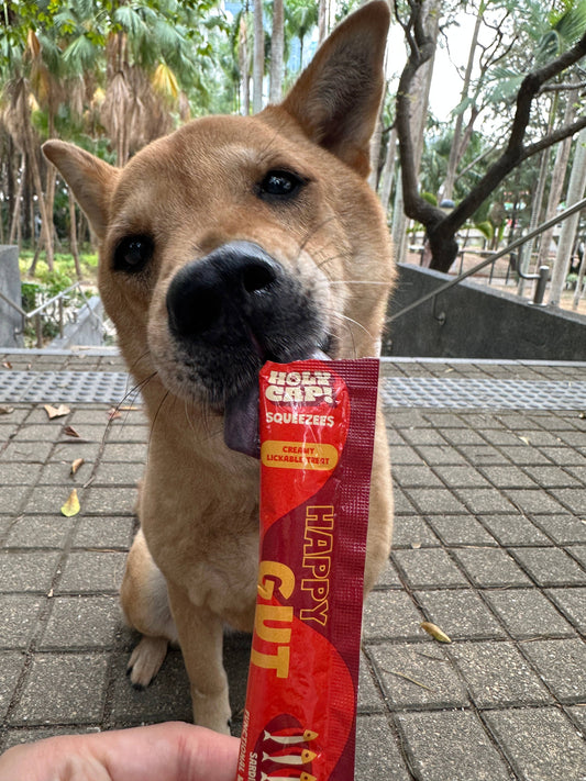 Happy Gut Lickable Treats