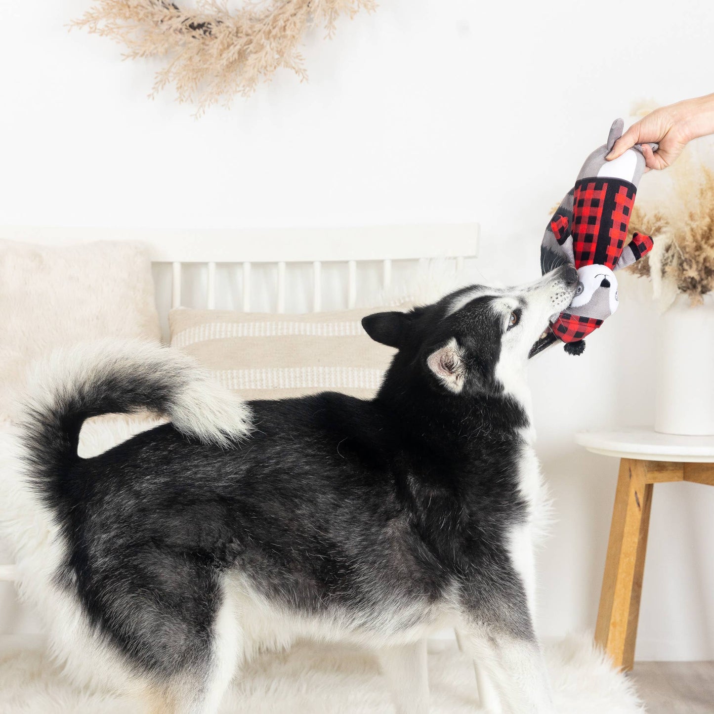 Brrring On The Snow Dog Toy